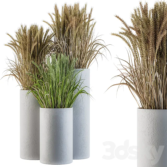 Wheat with Wild Grass in Concrete Round Pot 3D Model