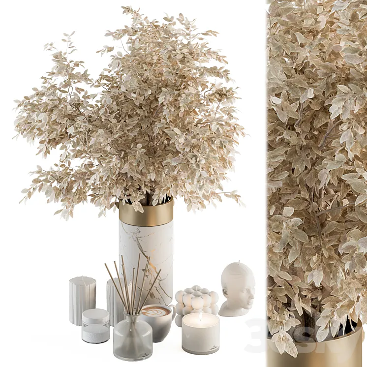 white and Gold Decorative Set with Dried plant – Set 106 3D Model Free Download white and Gold Decorative Set with Dried plant – Set 106 3D Model Free Download