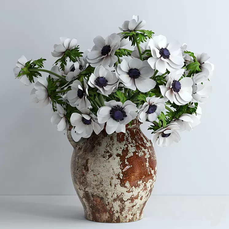 White anemones 3D Model White anemones 3D Model