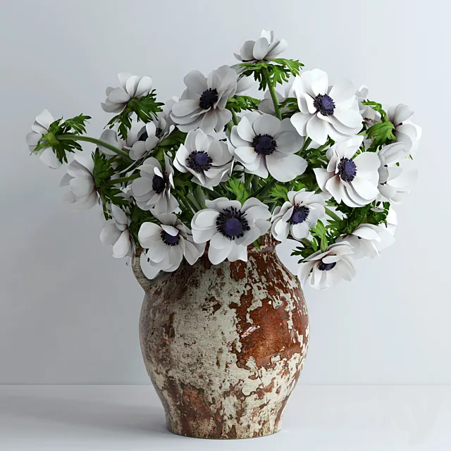 White anemones 3DModel White anemones 3DModel