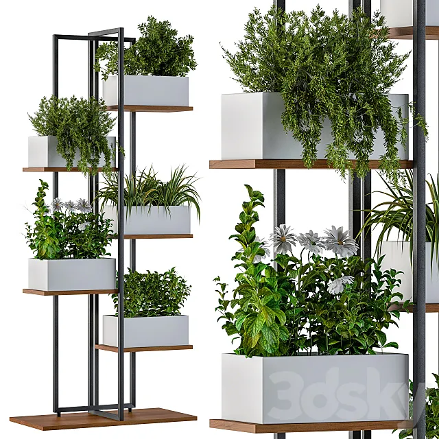 White Box Plants on stand 3D Model White Box Plants on stand 3D Model