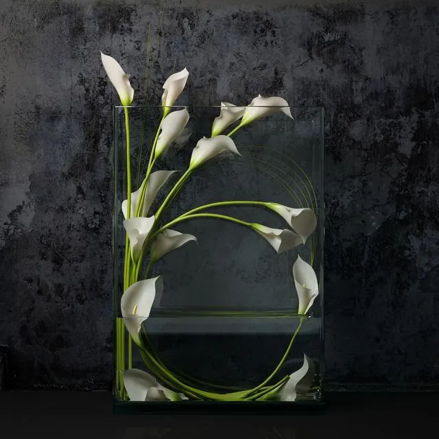White calla 3D Model White calla 3D Model