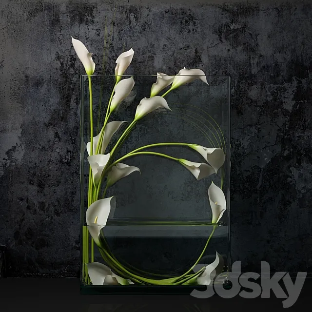 White calla 3DModel