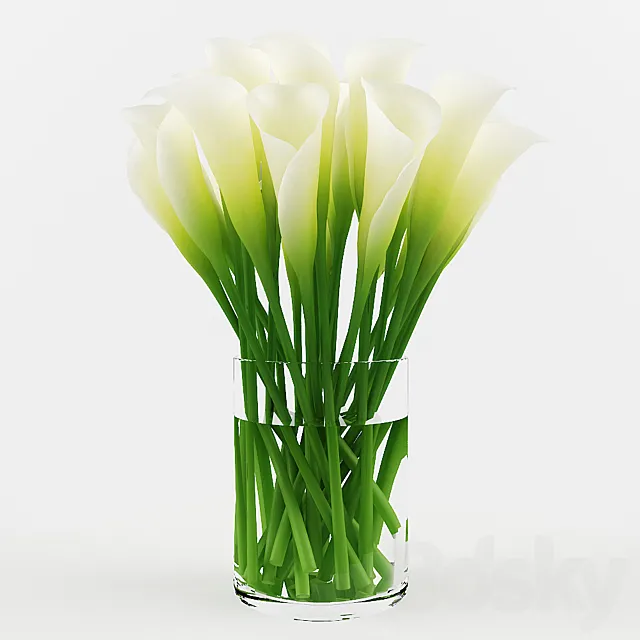 White calla 3DModel White calla 3DModel