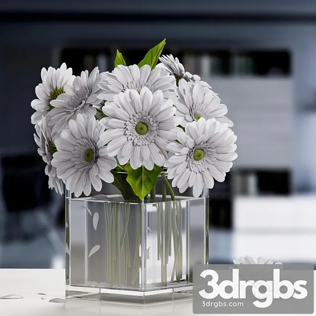 White Gerbera Flower 3D Model Download White Gerbera Flower 3D Model Download