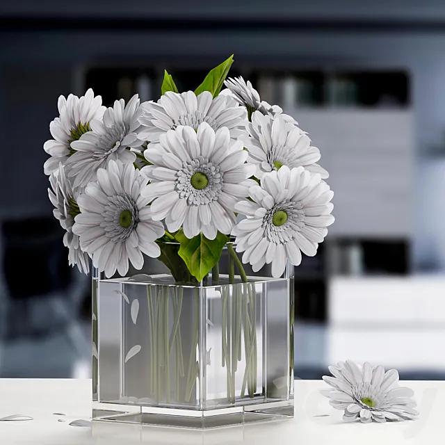 white Gerbera Flower 3DModel white Gerbera Flower 3DModel