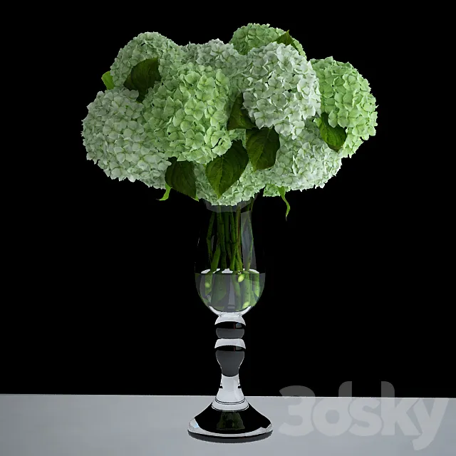 White hydrangea 3D Model White hydrangea 3D Model