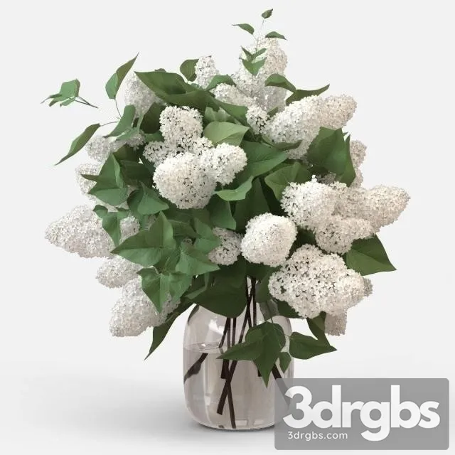 White Lilac Bouquet 3D Model Download White Lilac Bouquet 3D Model Download