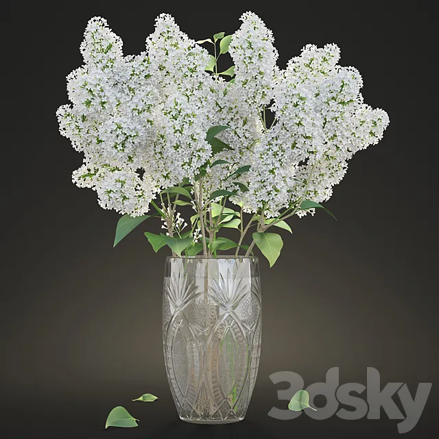 White lilac in a crystal vase _ White Lilac in a crystal Vase 3DModel White lilac in a crystal vase _ White Lilac in a crystal Vase 3DModel