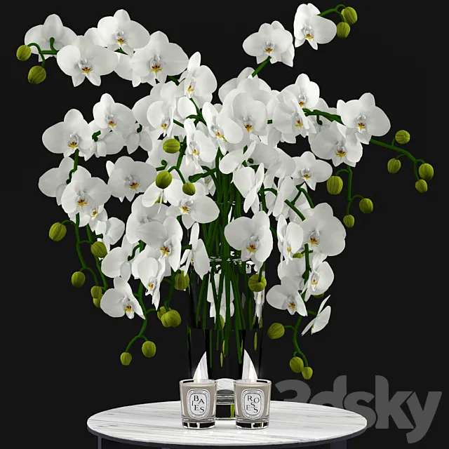 White Orchids and Candles 3D Model White Orchids and Candles 3D Model