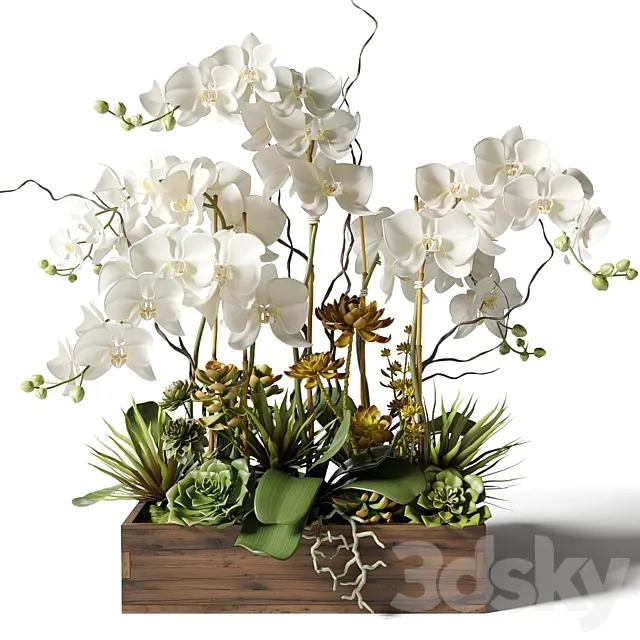 White orchids and succulents in a rectangular planter 3D Model White orchids and succulents in a rectangular planter 3D Model