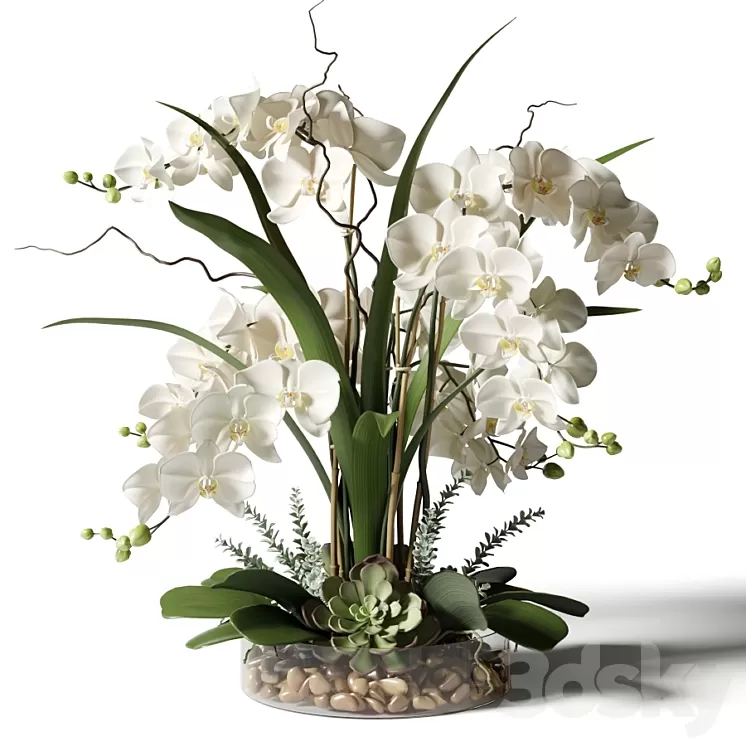 White orchids in a glass vase with stones 3D Model White orchids in a glass vase with stones 3D Model