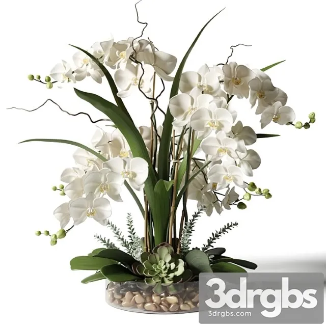 White orchids in a glass vase with stones White orchids in a glass vase with stones