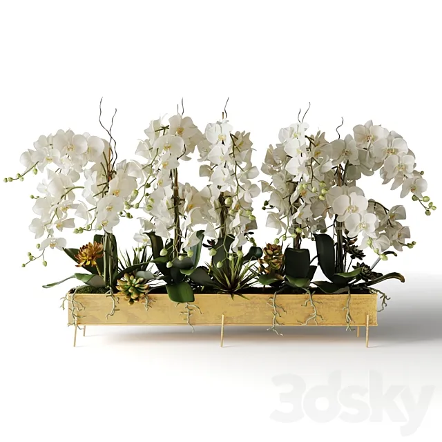 White orchids in a long metal pot 3D Model White orchids in a long metal pot 3D Model