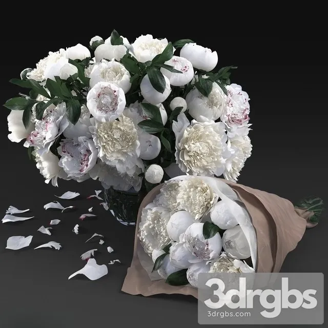 White Peonies 3D Model Download White Peonies 3D Model Download