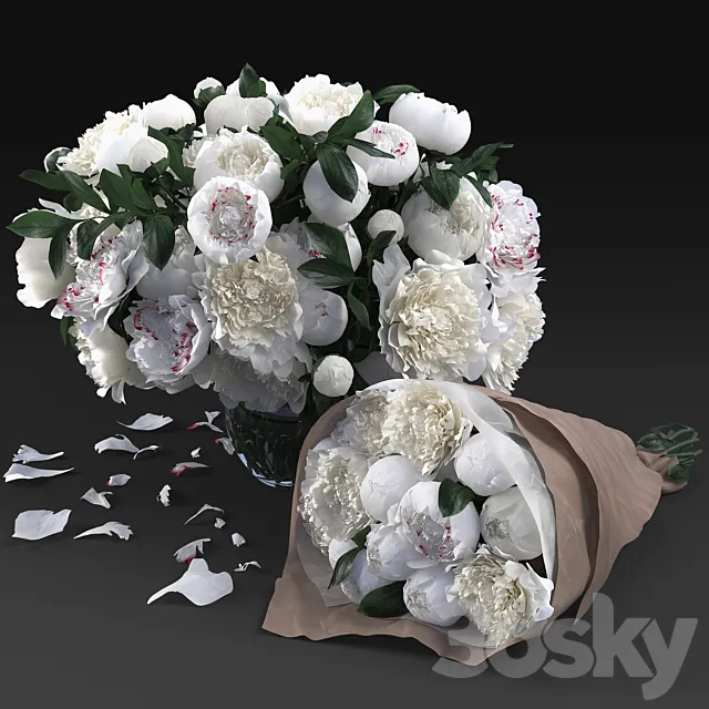White Peonies 3DModel White Peonies 3DModel