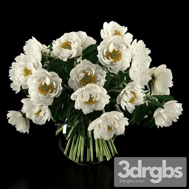 White Peonies Bouquet 3D Model Download White Peonies Bouquet 3D Model Download