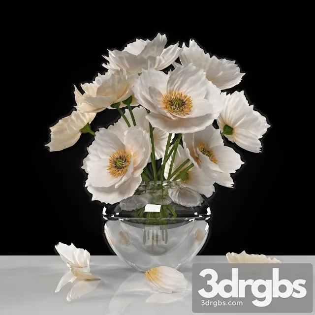 White Poppies 3D Model Download White Poppies 3D Model Download