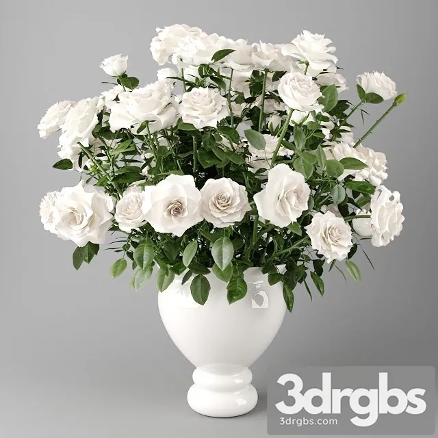 White Roses in a White Vase 3D Model Download White Roses in a White Vase 3D Model Download