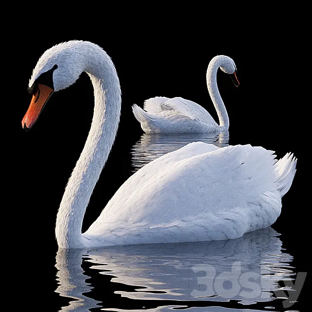 White Swan 3DModel