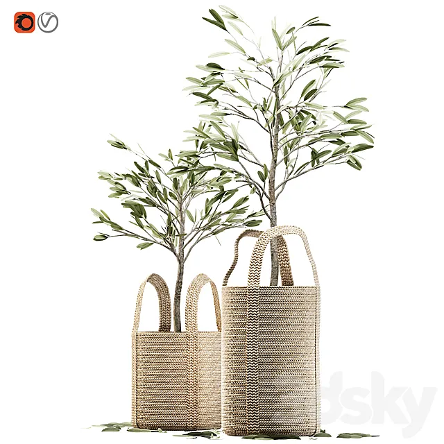 Wicker basket containing the delicate olive tree in pastel tones 3DModel