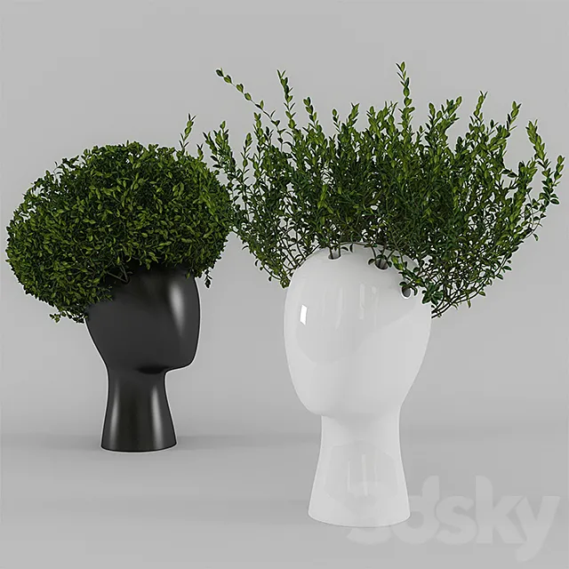 Wig vase with boxwood (part 1) 3DModel Wig vase with boxwood (part 1) 3DModel