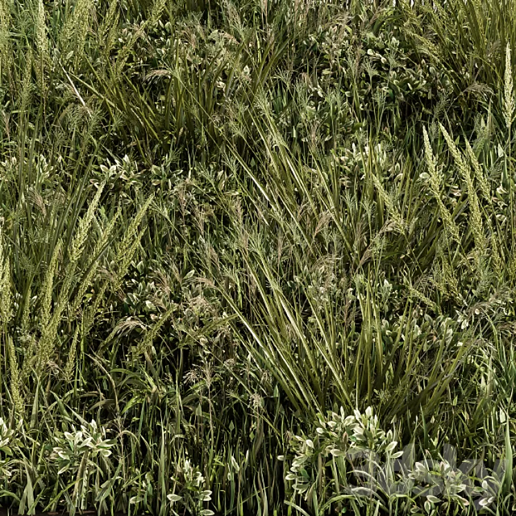 Wild Grass Green – Grass Set 03 3D Model Wild Grass Green – Grass Set 03 3D Model