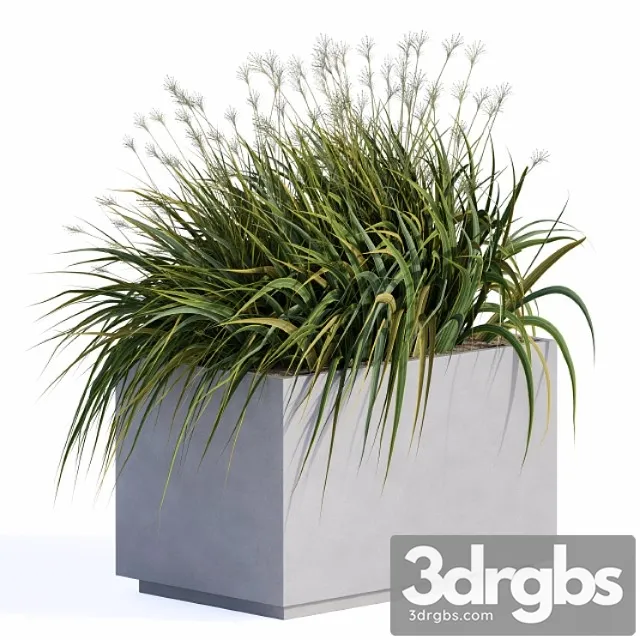 Windy Grass And Plants In Concrete Box 3D Model Download