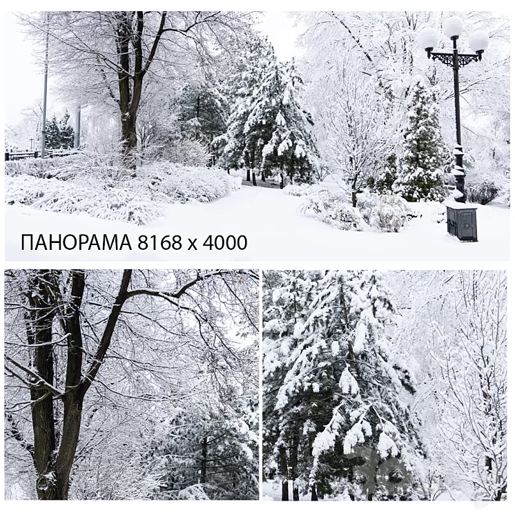 Winter background 3D Model Free Download