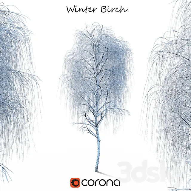 Winter birch 3DModel Winter birch 3DModel