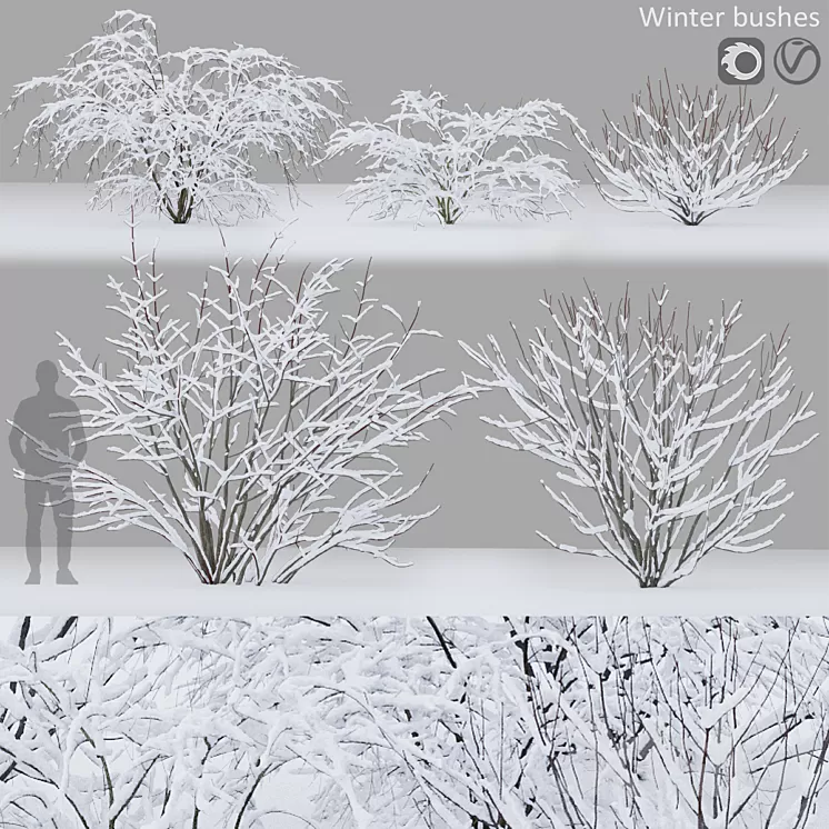 Winter bushes # 1 3D Model Free Download Winter bushes # 1 3D Model Free Download