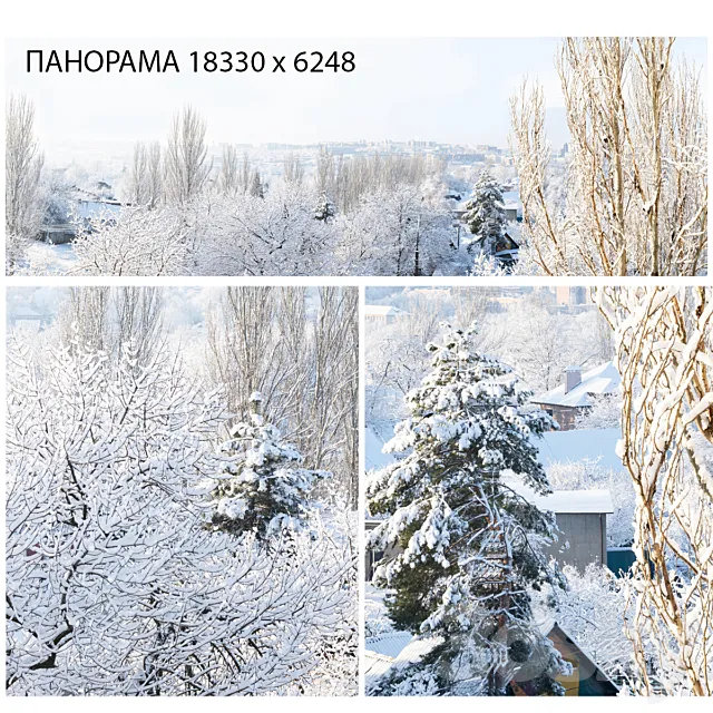 Winter panorama. View from the window. 3D Model