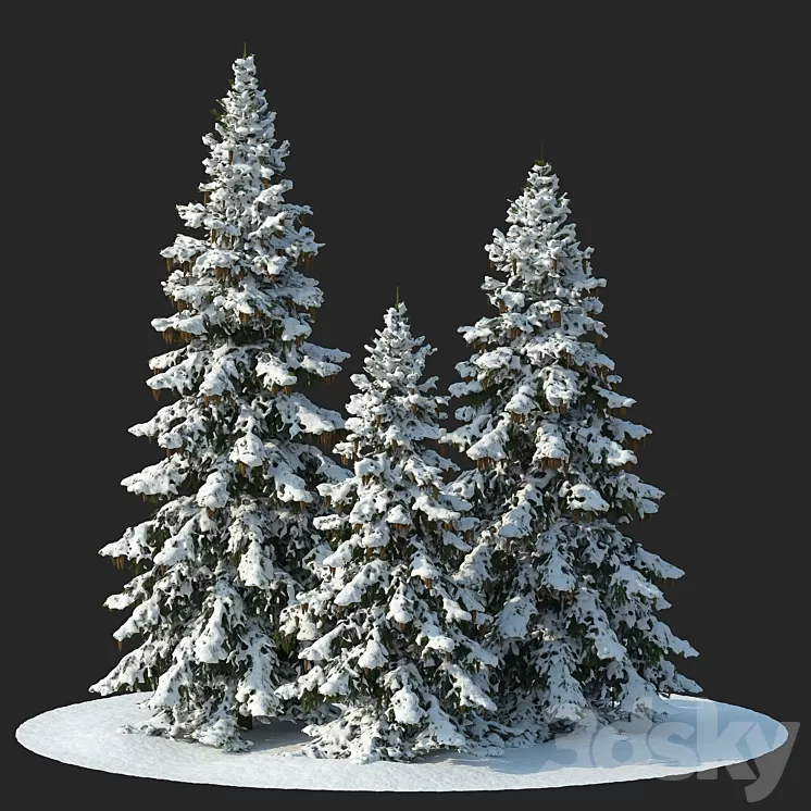 Winter spruces (Winter spruces) 3D Model Free Download