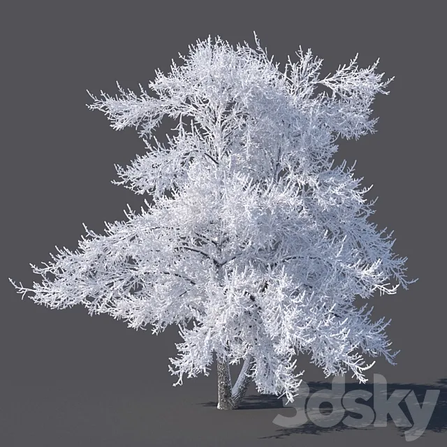 Winter tree (6 meters) 3DModel Winter tree (6 meters) 3DModel