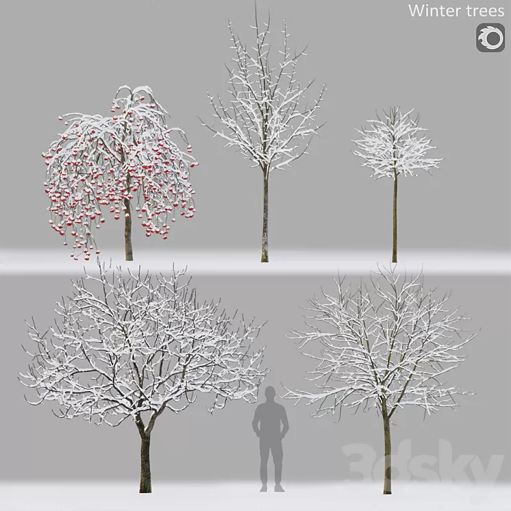 Winter trees # 1 3D Model Free Download