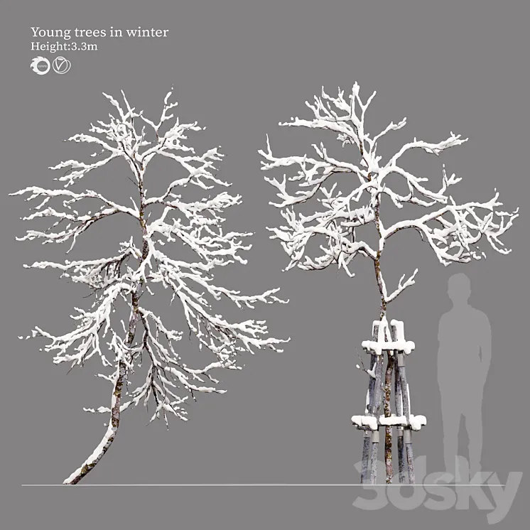 winter young trees 3D Model Free Download