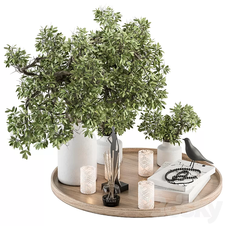 Wood and Green Decorative Set with Bouquet in Tray – Set 112 3D Model Free Download