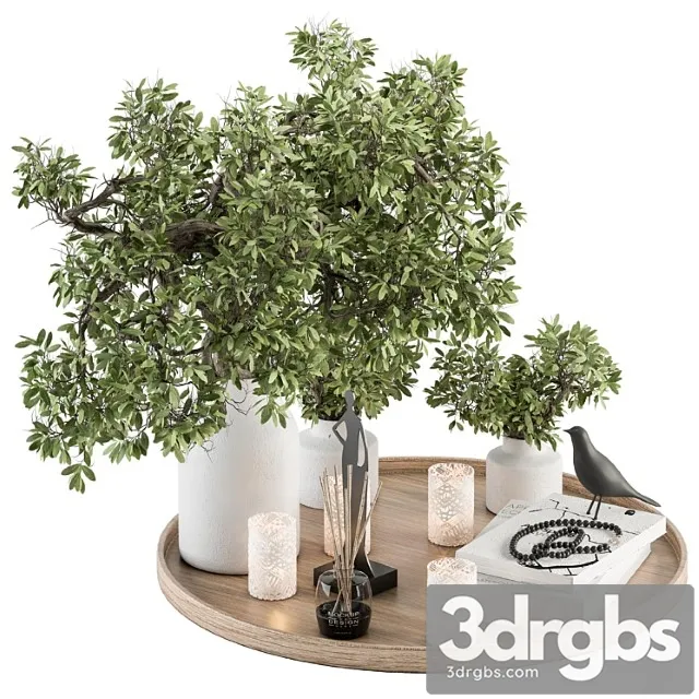 Wood and green decorative set with bouquet in tray – set 112