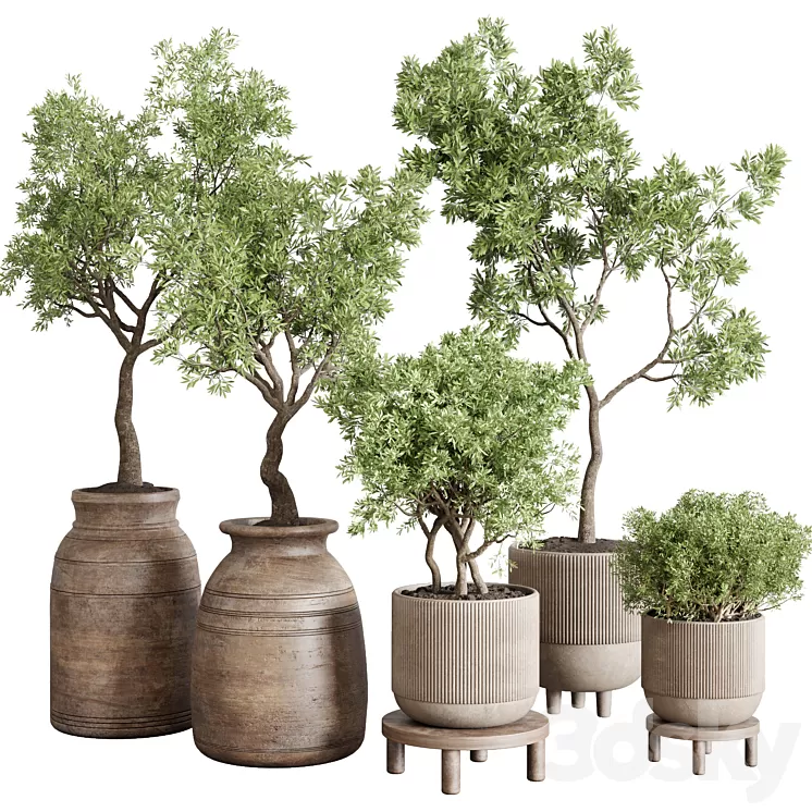 wood collection indoor outdoor plant 141 vase concrete old pot tree vray 3D Model Free Download