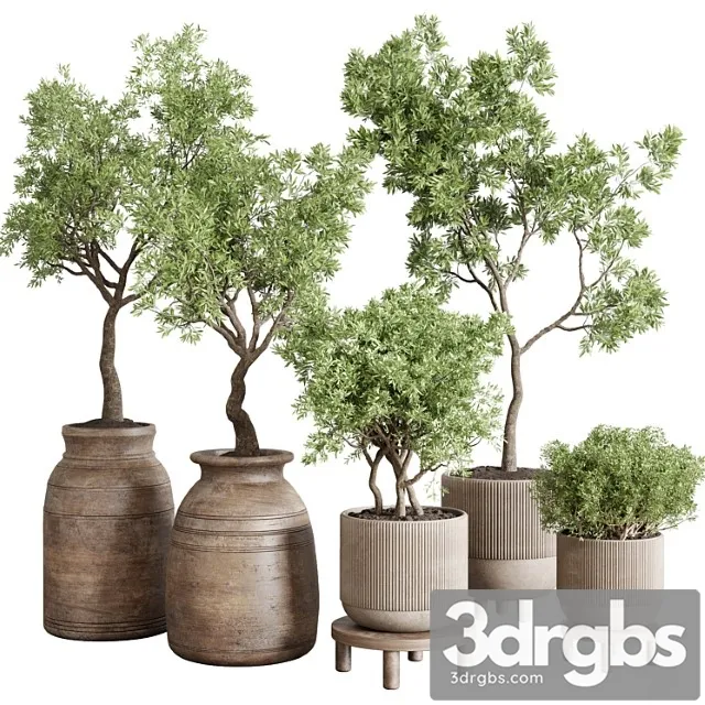 Wood collection indoor outdoor plant 141 vase concrete old pot tree vray Wood collection indoor outdoor plant 141 vase concrete old pot tree vray