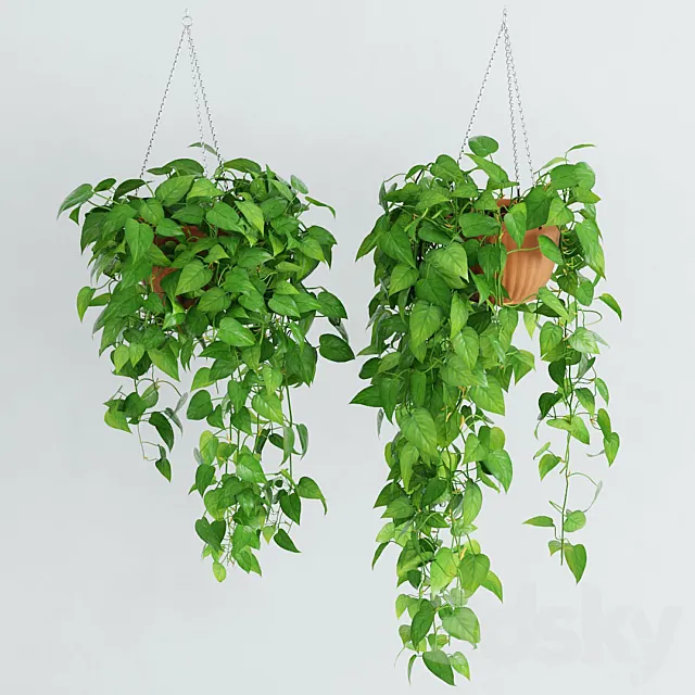 Woodbine 4 3DModel Woodbine 4 3DModel