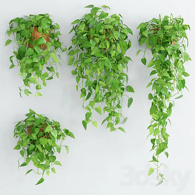 Woodbine 5 3DModel Woodbine 5 3DModel