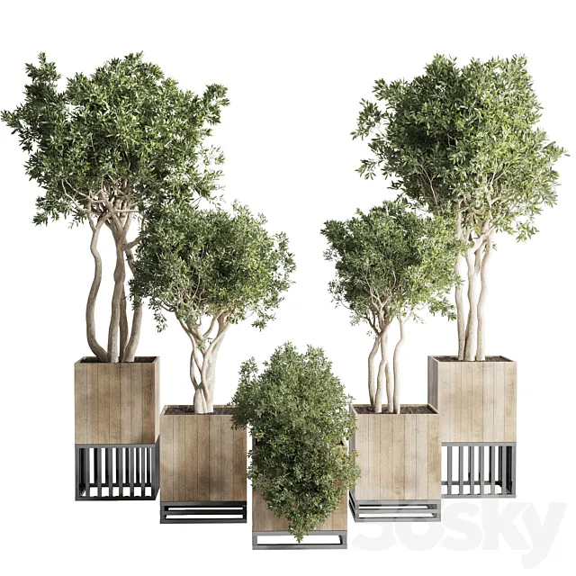 wooden Box Plants on Stand – collection of houseplants indoor 193 3D Model wooden Box Plants on Stand – collection of houseplants indoor 193 3D Model