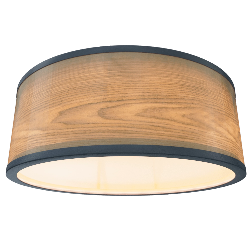 Woodled – Spot lamp Galactic Jupiter 2 3D Model