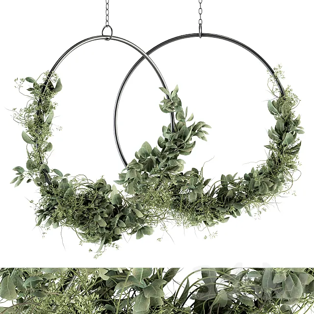 Wreath Olive Plants – Wreath Set 07 3D Model