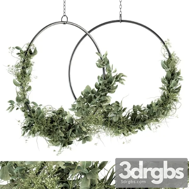 Wreath olive plants – wreath set 07 Wreath olive plants – wreath set 07