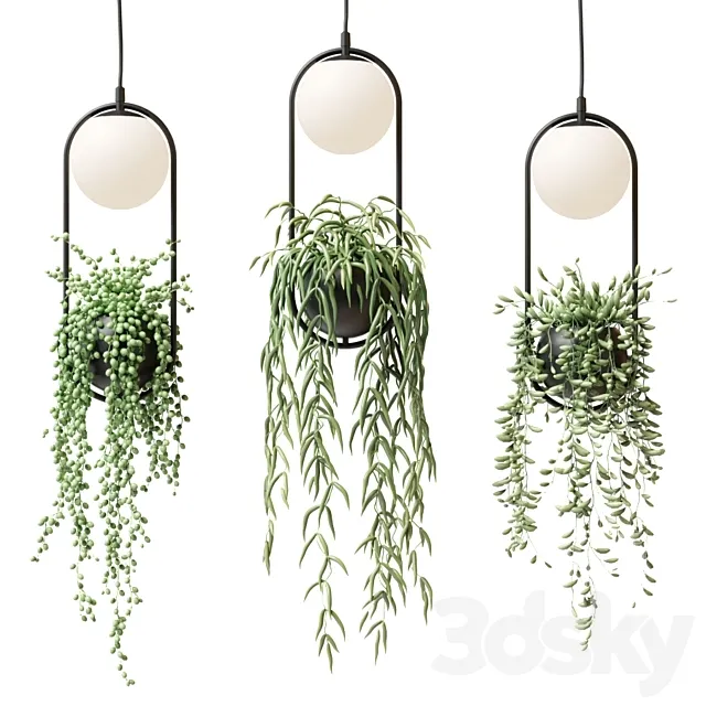 Wren – Sky Garden Planter Light 3DModel