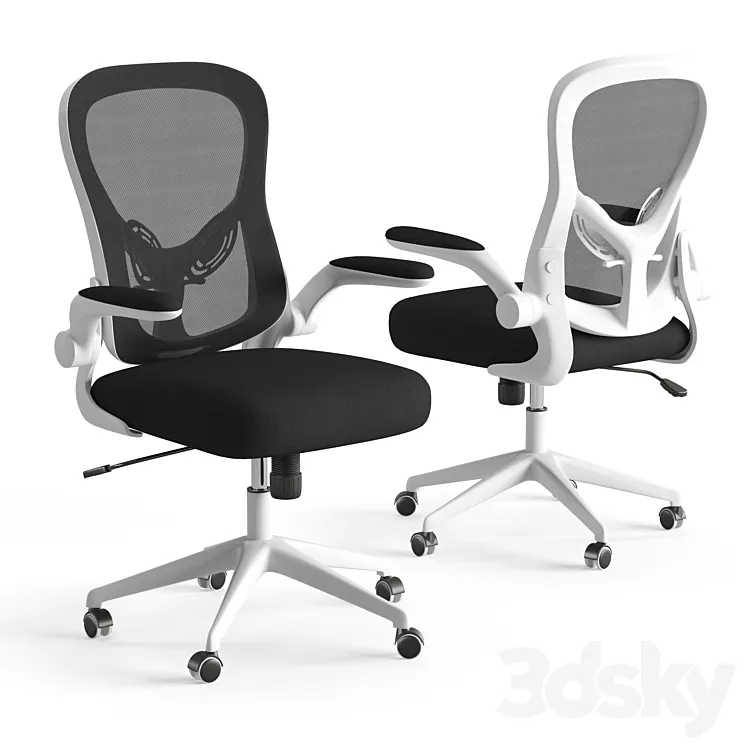 Xiaomi HBADA Ergonomic Double-Waisted Computer Chair HDNY163WM 3D Model Free Download