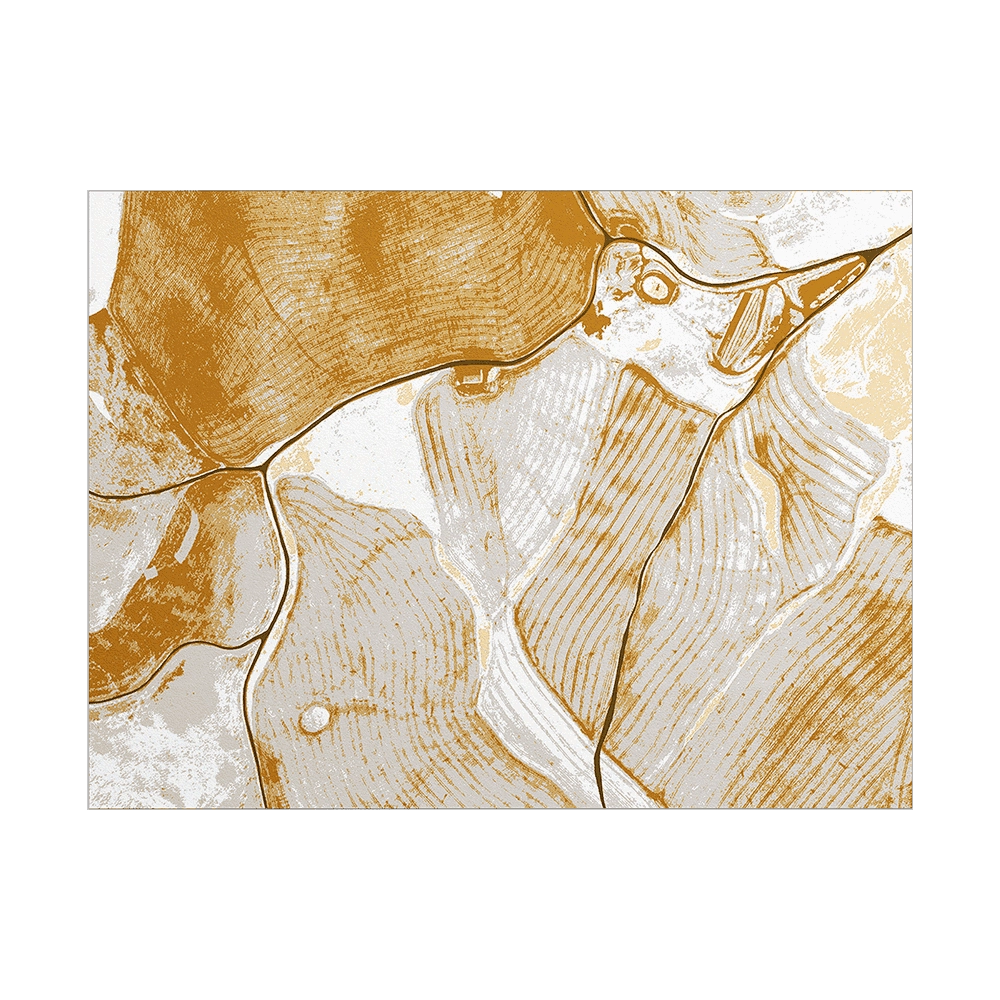 Y-O2 – Carpet Birds Eye View BI3.02 3D Model