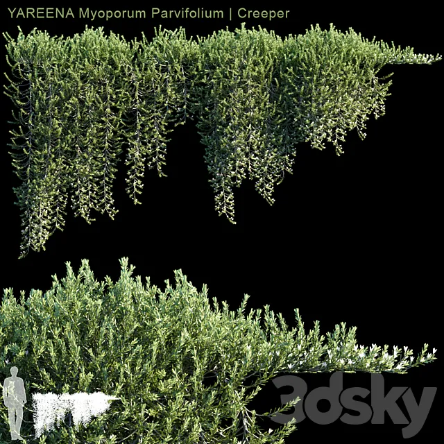 YAREENA Myoporum Parvifolium creeper | 5 module 3D Model YAREENA Myoporum Parvifolium creeper | 5 module 3D Model
